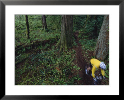 Biker Riding Through Forest by Bill Hatcher Pricing Limited Edition Print image