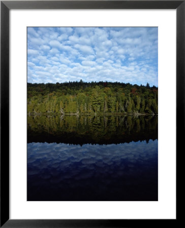 Shoreline And Clouds Reflected In The Still Waters Of Rainbow Lake by Sam Abell Pricing Limited Edition Print image