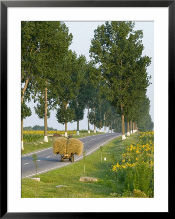 Horse And Cart, Moldavia, Romania by Russell Young Pricing Limited Edition Print image