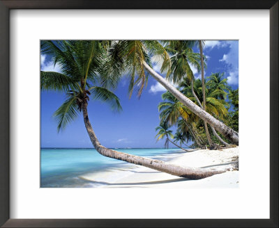 Pigeon Point, Tobago, Trinidad And Tobago by Peter Adams Pricing Limited Edition Print image