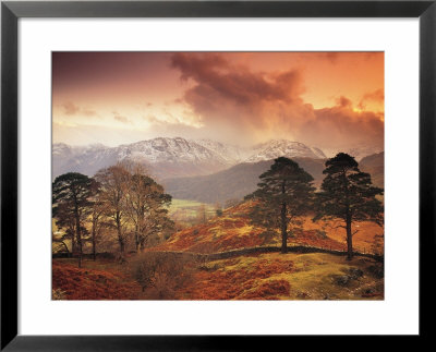 Borrowdale, Lake District, Cumbria, England by Peter Adams Pricing Limited Edition Print image