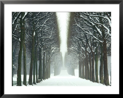 Snow On Tree Lined Avenue In Park, Misty View Parc De Sceaux, France by Martine Mouchy Pricing Limited Edition Print image