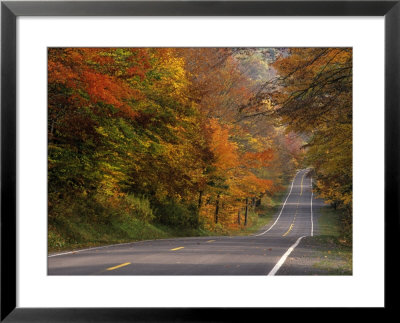 Autumn Foliage Adorning, Potomac Highland, Wv by Everett Johnson Pricing Limited Edition Print image