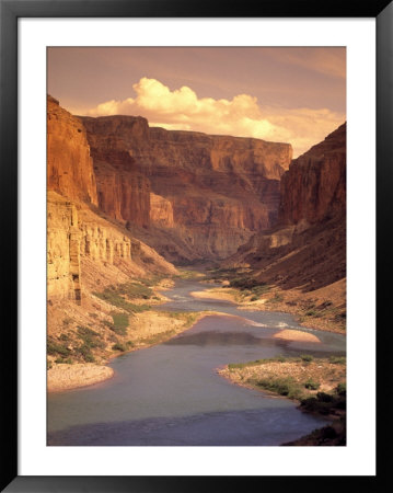 Grand Canyon National Park, Co River, Az by Amy And Chuck Wiley/Wales Pricing Limited Edition Print image