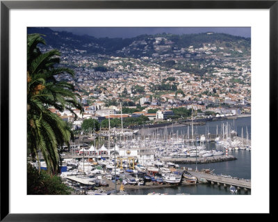City And Marina, Funchal, Madeira, Portugal by Walter Bibikow Pricing Limited Edition Print image