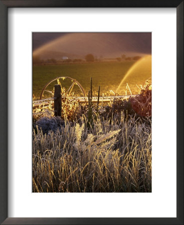 Morning Frost, Autumn, Ketchum, Idaho by Walter Bibikow Pricing Limited Edition Print image