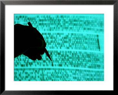 Dna Sequence, A Non- Photosynthetic Algae, With Hand And Pencil by David M. Dennis Pricing Limited Edition Print image