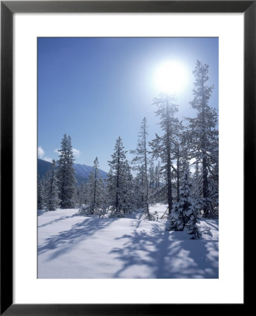 Snow And Trees by Dean Berry Pricing Limited Edition Print image