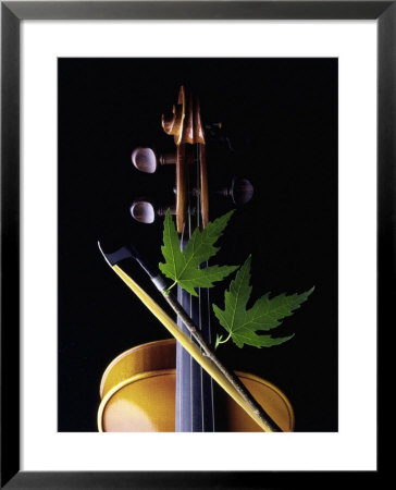Violin With Maple Twig by Howard Sokol Pricing Limited Edition Print image