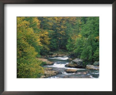 Blackwater Falls, Wva, Early Autumn by Robert Finken Pricing Limited Edition Print image