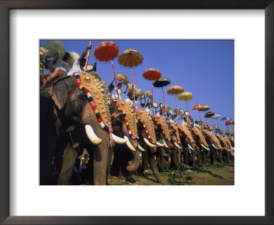 The Great Elephant March, Trissur, Kerala, India by David Ball Pricing Limited Edition Print image