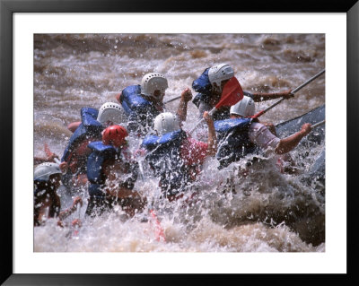 River Rafting, New River, Wv by Pat Canova Pricing Limited Edition Print image