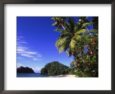 Paria Beach, Trinidad by Timothy O'keefe Pricing Limited Edition Print image