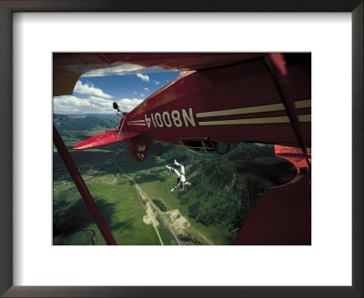 Skydiver Falling From Airplane by Paul Gallaher Pricing Limited Edition Print image