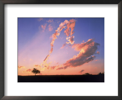 Tree Against Sky With Heart Shaped Cloud by Henryk T. Kaiser Pricing Limited Edition Print image