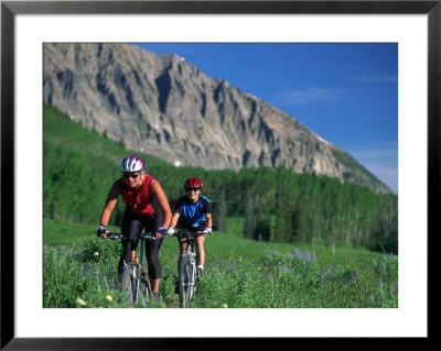 Two Women Mountain Biking, Snodgrass Mountain, Co by Tom Stillo Pricing Limited Edition Print image