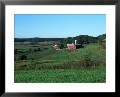 Farm In Wisconsin by Lynn M. Stone Pricing Limited Edition Print image