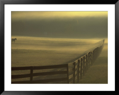 Horse In Field, Hocking College, Nelsonville, Oh by Jeff Friedman Pricing Limited Edition Print image