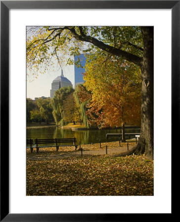Public Gardens In The Fall, Boston, Ma by James Lemass Pricing Limited Edition Print image