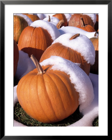 Pumpkins In Snow by Jim Mcguire Pricing Limited Edition Print image