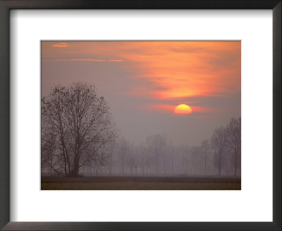 Padana Valley, Cremona, Italy by Alessandro Gandolfi Pricing Limited Edition Print image