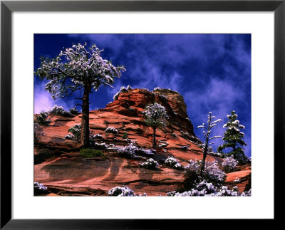 Clearing Winter Storm, Zion National Park, Ut by Russell Burden Pricing Limited Edition Print image