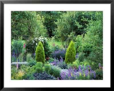 View Into Country Garden With Perennials And Small Trees Summer by Lynn Keddie Pricing Limited Edition Print image
