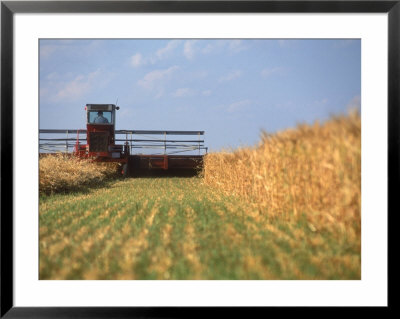 Combine In Field by Kent Dufault Pricing Limited Edition Print image