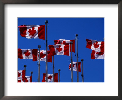 Canadian Flags Flying In The Wind, Vancouver, Canada by Rick Gerharter Pricing Limited Edition Print image
