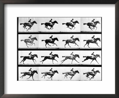 Photographer Eadweard Muybridge's Study Of A Horse At Full Gallop In Collotype Print by Eadweard Muybridge Pricing Limited Edition Print image