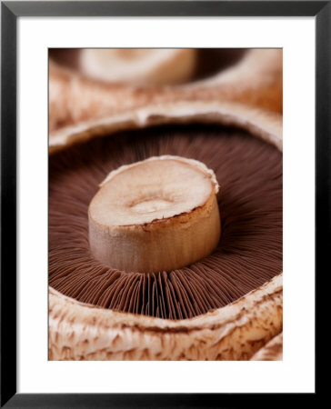 Chestnut Mushrooms by Susie Mccaffrey Pricing Limited Edition Print image