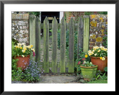 Farmhouse Gate With Terracotta Pots Of Viola And Primula Auricula by Sunniva Harte Pricing Limited Edition Print image