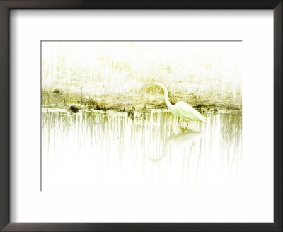 Crane Standing In Shallow Waters by Jan Lakey Pricing Limited Edition Print image