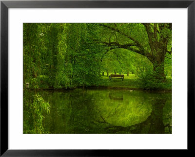 Green World by Irene Suchocki Pricing Limited Edition Print image