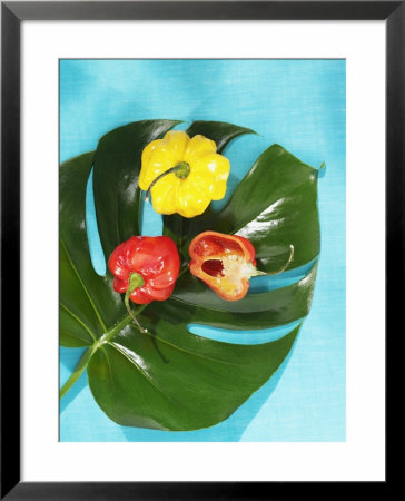 Red And Yellow Habanero Chillies by Armin Zogbaum Pricing Limited Edition Print image