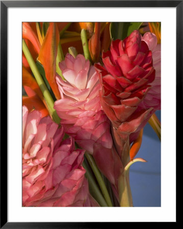 Colorful Tropical Flowers At Farmers Market Waimea Bay, Hawaii by Bill Hatcher Pricing Limited Edition Print image