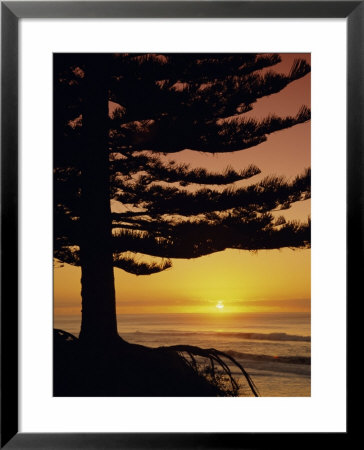 Sunrise, Pine Beach, Gisborne, East Coast, North Island, New Zealand, Pacific by Dominic Webster Pricing Limited Edition Print image
