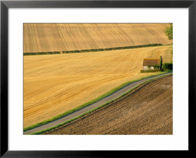 Fields And Rural Road Near Old Winchester Hill, Hampshire, England, Uk by Jean Brooks Pricing Limited Edition Print image