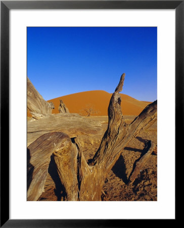 Sand Dunes, Sesriem, Sossusvlei National Park, Namibia by Chris Kober Pricing Limited Edition Print image