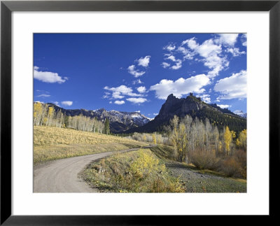 Dirt Mountain Road With Aspens And Cottonwoods In Fall Color, Near Silver Jack, Colorado, Usa by James Hager Pricing Limited Edition Print image