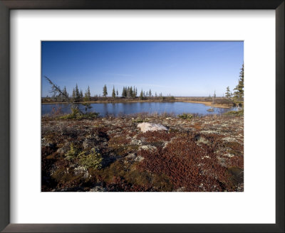 Landscape At Hudson Bay, Churchill, Manitoba, Canada, North America by Thorsten Milse Pricing Limited Edition Print image