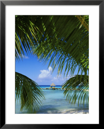 Palm Fronds And Beach, Rangiroa Atoll, Tuamotu Archipelago, French Polynesia, South Pacific Islands by Sylvain Grandadam Pricing Limited Edition Print image