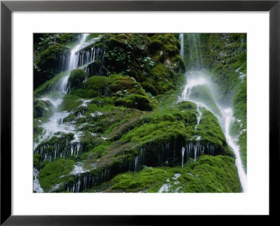Waterfall Slapisce Suhe Trickling Down Mossy Rock Slope, Triglav National Park, Bled, Slovenia by Martin Moos Pricing Limited Edition Print image