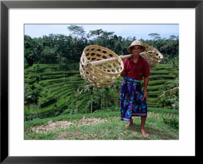 Rice Farmer With Baskets, Ubud, Indonesia by Michael Coyne Pricing Limited Edition Print image