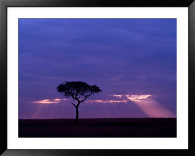 Sunrise, Maasai Mara, Kenya by Joe Restuccia Iii Pricing Limited Edition Print image