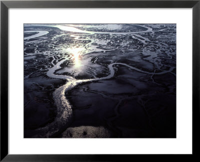 Aerial View Of The Salt Marshes Surrounding The Lower Savannah River by Annie Griffiths Belt Pricing Limited Edition Print image