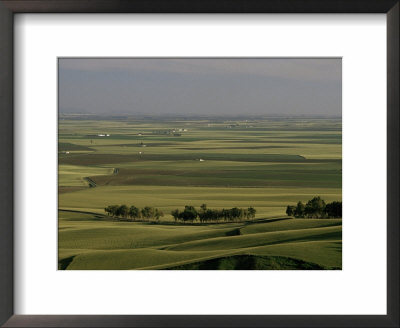 View From The Castle, Carmona, Seville, Andalucia, Spain by Michael Busselle Pricing Limited Edition Print image