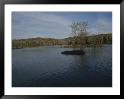 A Peaceful Autumn View Of The Potomac River A Few Miles Below Great Falls by Stephen St. John Pricing Limited Edition Print image