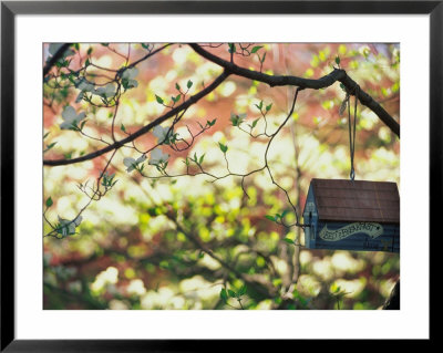 Backyard Bird Feeder, Birdhouse And Spring Flowers by Gayle Harper Pricing Limited Edition Print image