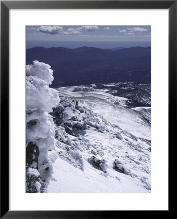 Summit Ridge Of South Arapahoe Peak With Snowflowers, Colorado by Michael Brown Pricing Limited Edition Print image